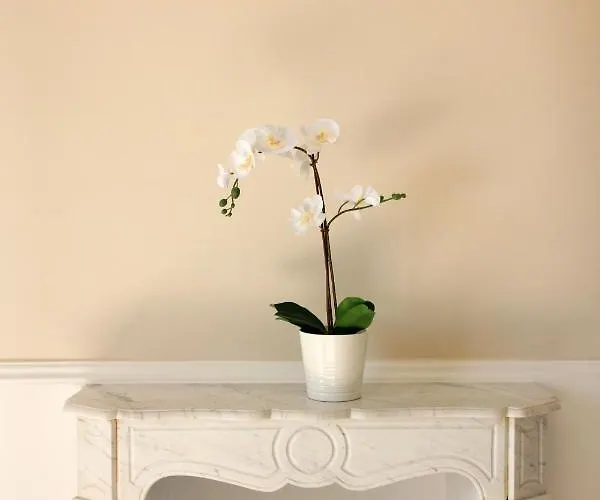 Palazzo Excelsus 4* Terzigno